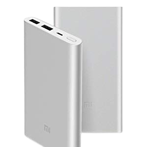 Powerbank 11 300 mAh Violet  with Fox